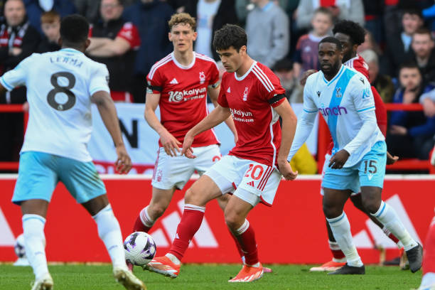 手的一种肯 手的一种肯