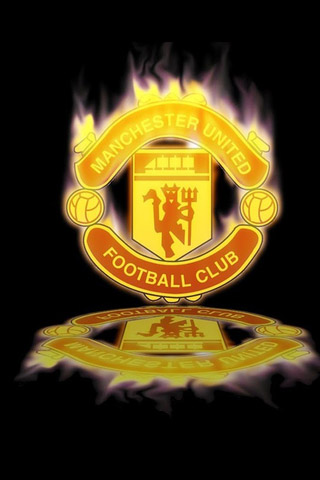 迷的关注 迷的关注